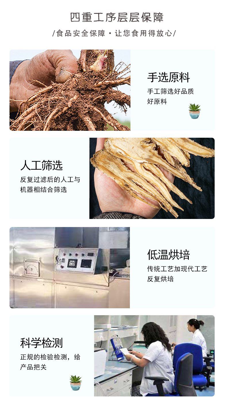 Dried Angelica Root Slices Dang Gui 500g Bulk Chinese Herbal Decoction Pieces for Soup and Tea quality and texture