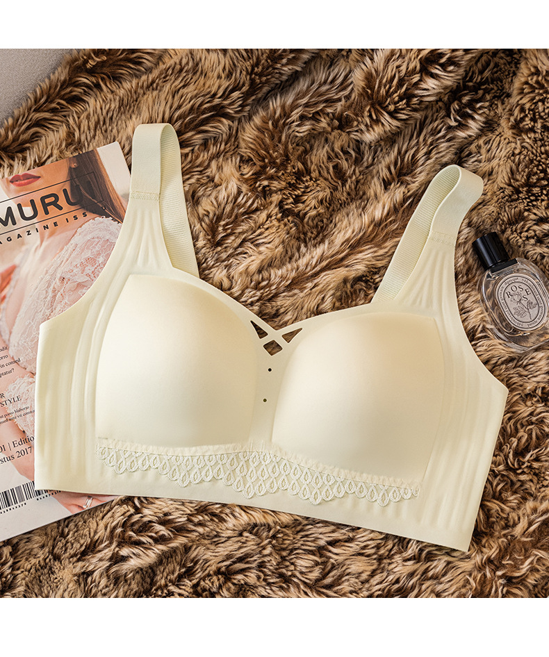 Venta directa de fábrica comercio electrónico transfronterizo Sudeste de Asia Vietnam Tailandia damas sin costuras sujetador de recogida lateral cómodo