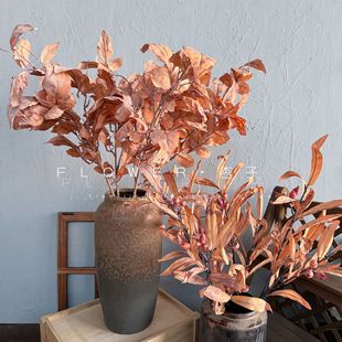 ����ɳ����Ԍ���L����b����͘��쾰�[���ٺ��~������������~