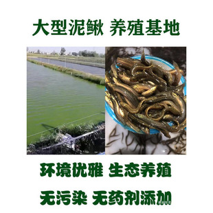 ̨�����q��~�籾�����q���q�r���~�Bֳ��ˮ�������~�������