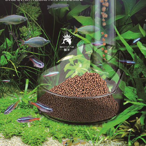 Feeding ring, multi-functional feeding ring for ornamental fish, European and American standard feeding feed combination, new cross-border product