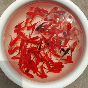 ������С�~��ˮ���B���ͻ����ˮ�~�^�p�~����С���~���~��һ��