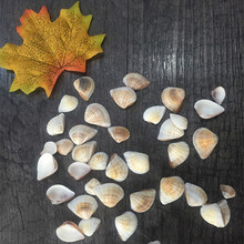 ؐ������DIYϞ�T���Ϲ���Ϟ�������ؐ��ë��ѩ��100��