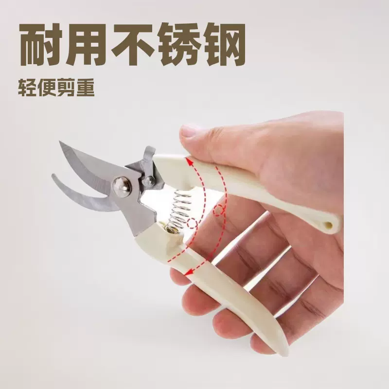 热卖不锈钢园林修枝剪园艺果枝果子剪摘果剪花园树枝剪枝头工具剪