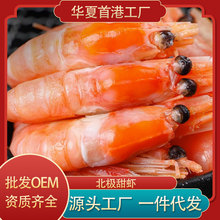 冰岛北极甜虾冰虾北极熊带籽籽北极虾元宝虾籽虾头膏腹带刺身级