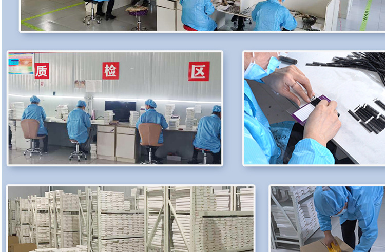 工厂证书中文版_07