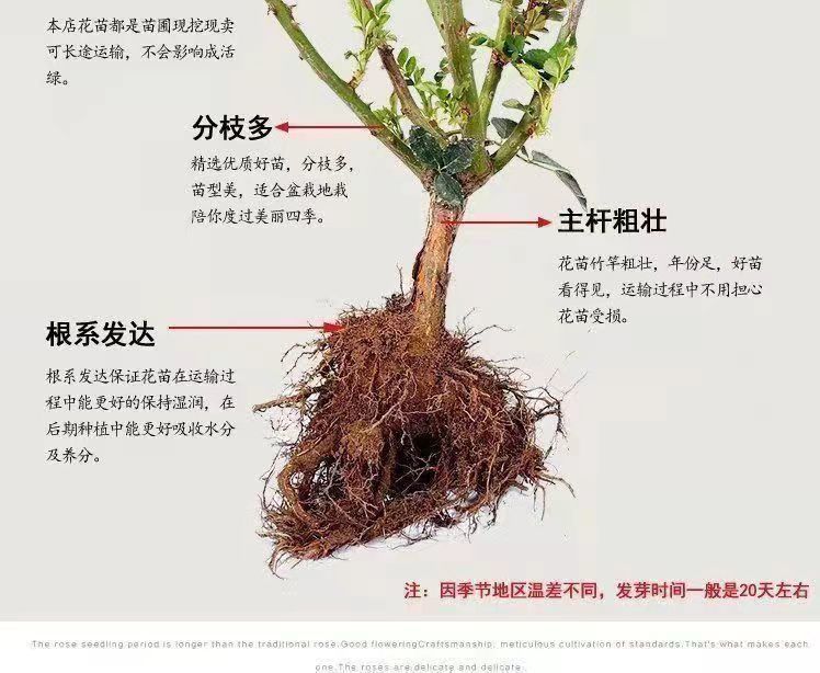 8466f44f-2e9f-4b0c-baf0-284a8d0d7a9b.jpe