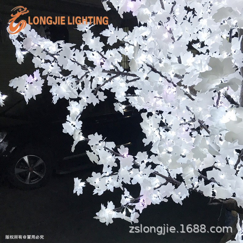 2544�� ��3�� LED���������  ����׷����� ��԰����������