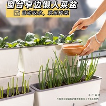 �L����խ�����̨�N�����L�l�߲˷Nֲ�䴰̨��ݮ���ۑ���