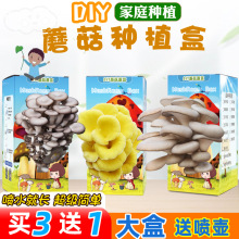 DIYͯNֲĢƽĢNֲԽᘹNֲֲ