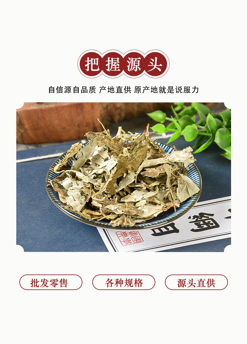 Hu Tuizi Ye (Elaeagnus pungens Leaf) — Dried Food Herb, Unsulfured New Crop quality and texture
