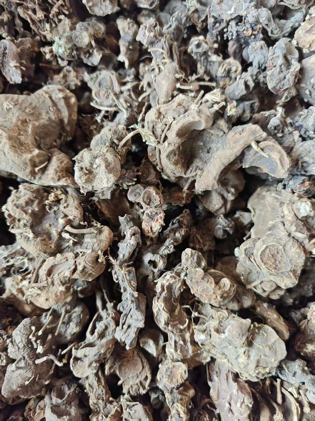 Ba Jiao Lian (Dysosma versipellis) — Dried Chinese Herbal Rhizome, 500g specifications