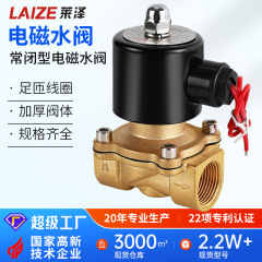 ノーマルクローズ電磁弁防水電子配管制御スイッチ水弁220V純銅コイル24V水道管12V