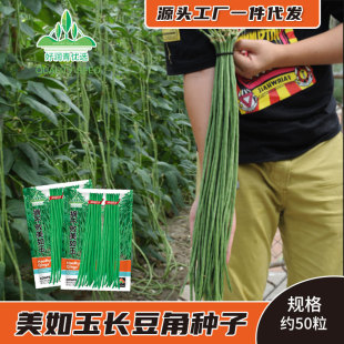 ժ�����������L���ǷN�Ӵ�G�����N�����l���l�L���Ѵ��＾�˷N��