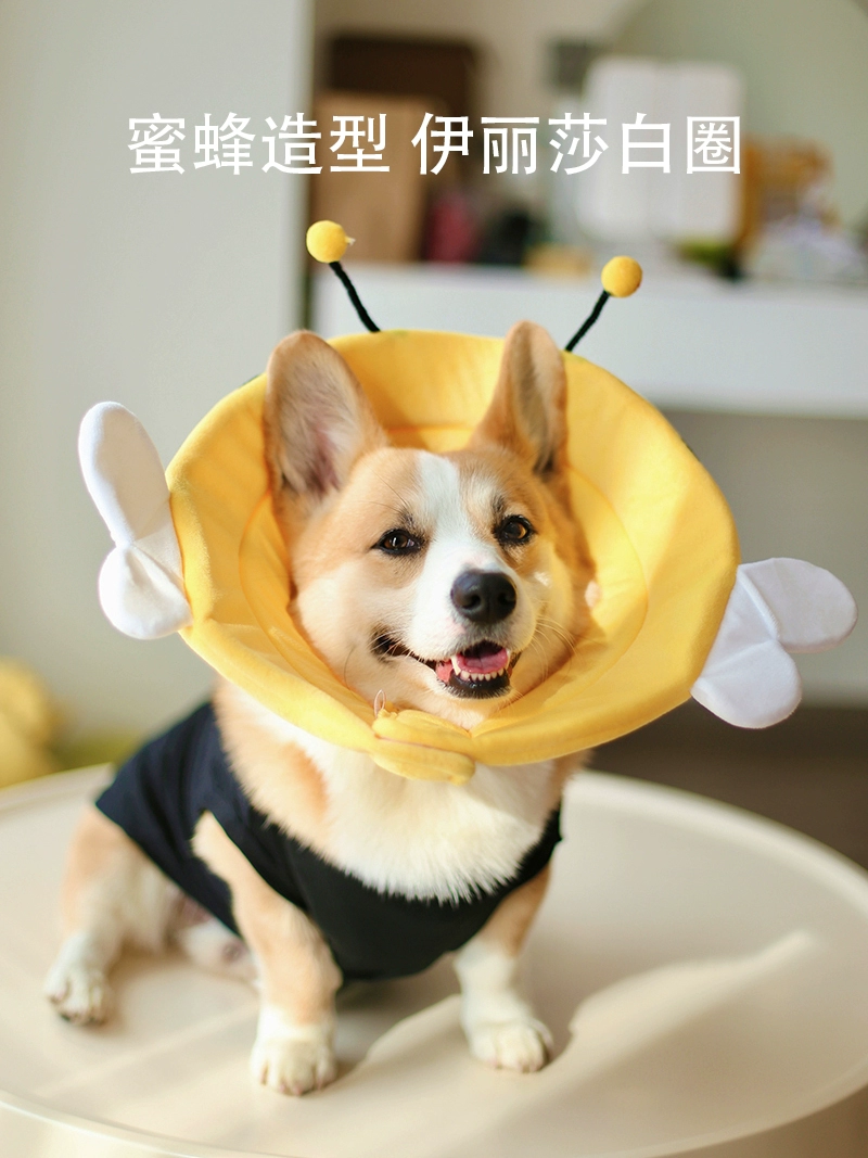 Pet Elizabeth кольцо углубление собака против укусов анти-облизывание водонепроницаемый головной убор мягкий позор воротник корги стерилизация поставки