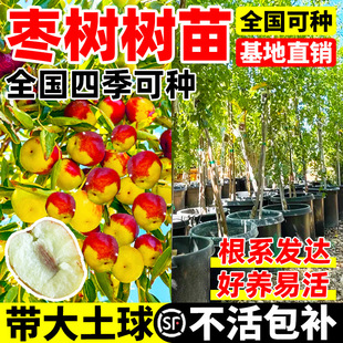 �����糬���󴗗������ϱ����NֲͥԺ���Ǘ�����玧��������