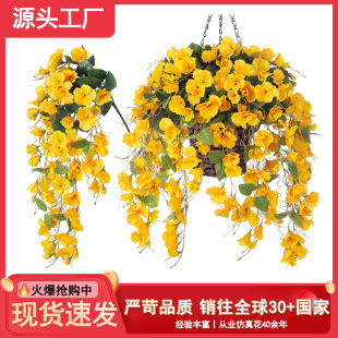 ��Ʒ����ľ�Ȼ��ڒ��ٗl���@ͥԺ���@�Ғ촹��ٻ��b��滨�b�