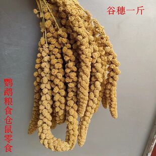 24���¹����W�^�}�������¹�����Ȼ�������������������r�S��