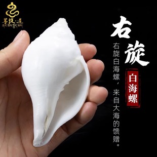 ���������׺����Ჴ���؂��[�����ð˹�����С�������з�������