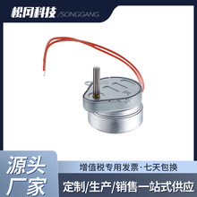 暖通阀门电机 TH-204-SG/AC/24V/3-4RPM  执行器阀体专用磁滞电机