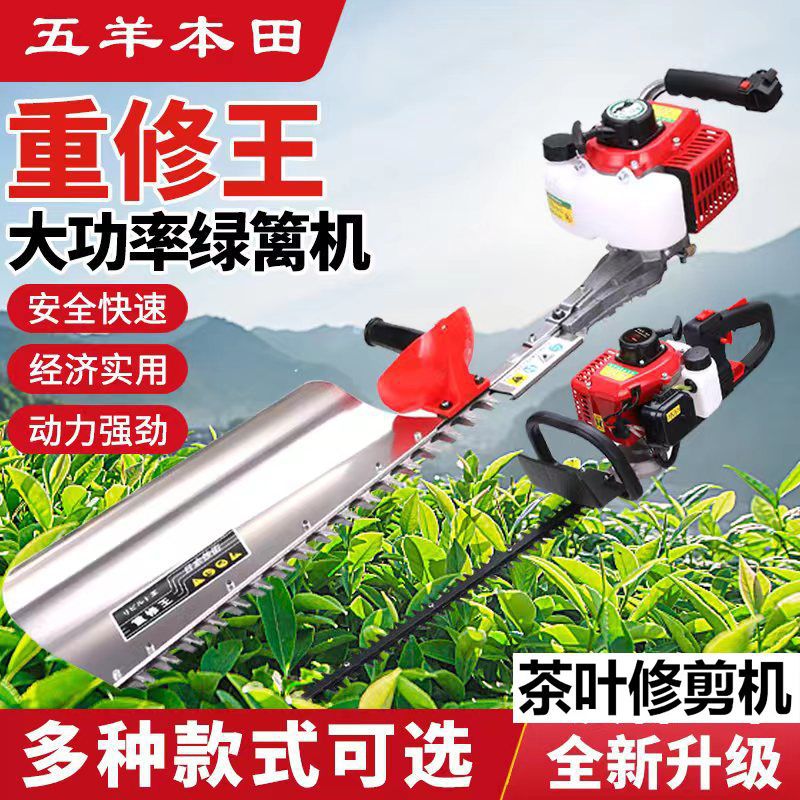 进口五羊本田汽油绿篱机茶树剪茶机割茉莉花机横县园林绿化原装
