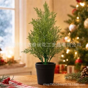 ���R�d �����}�QС�ɰؘ� ����͏d����ֲ��Gֲ�ٻ�С��S�����l