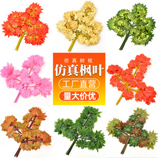 �����Ř��~�b��ָ��^�z���ϼ٘�֦�Gɫ�~�ӗ��~�y��â���~ ���~