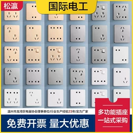 插座配件;墙壁插座;其他开关
