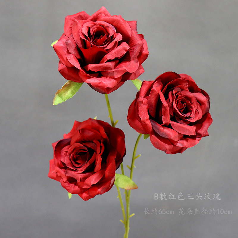 모델 B 빨간색 세 머리 장미