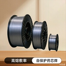 E71T-GS Self-shielded flux cored welding wire �Ա��oșо���z