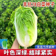 ߿78ײ˷NӖ|ײļ~ײ˿߮a߲˰ײ