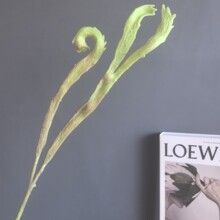 �������z��֦�һ�֦������¹��ާ �Ҿ�ܛ�b�廨�̘I���g�b����