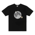 6638 Black