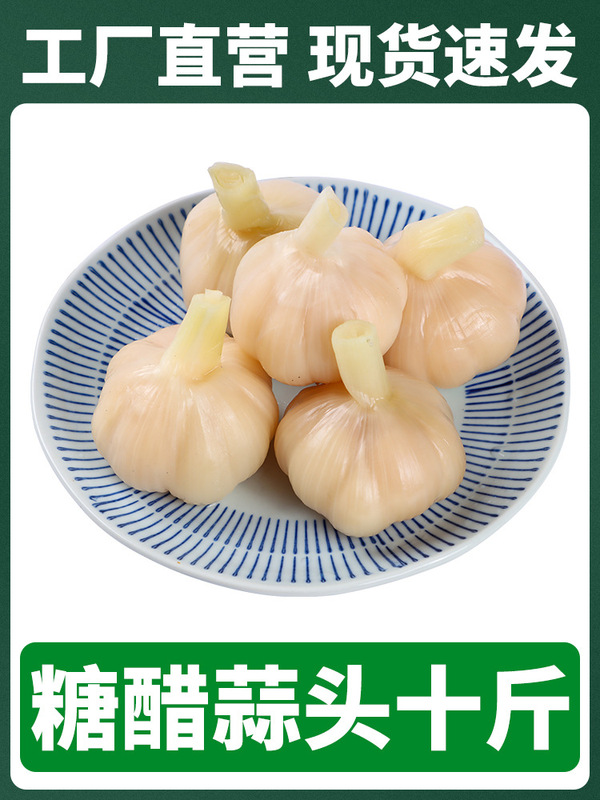山東翡翠ラバガルーン、業務用グリーンガーリック、酢漬けニンニク、砂糖漬け特製漬物、お酒のおつまみ|undefined