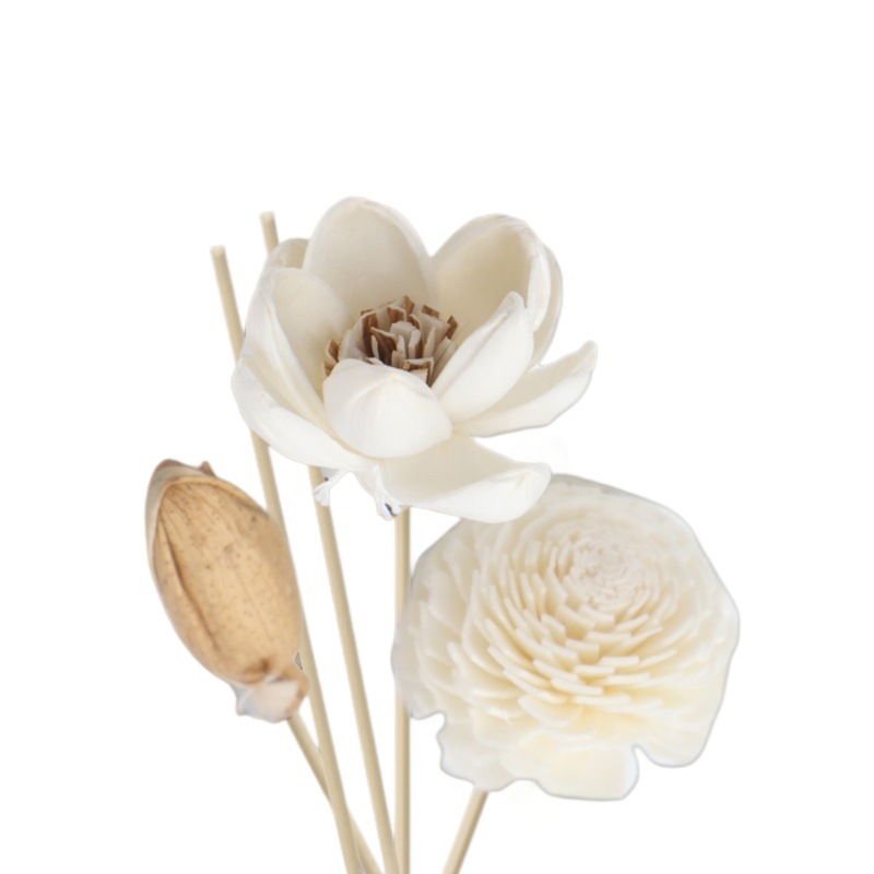 Accesorios de fragancia al por mayor sin fuego para la volatilización de flores de hierba flor seca de caña para extender la decoración de fragancia una variedad de opciones
