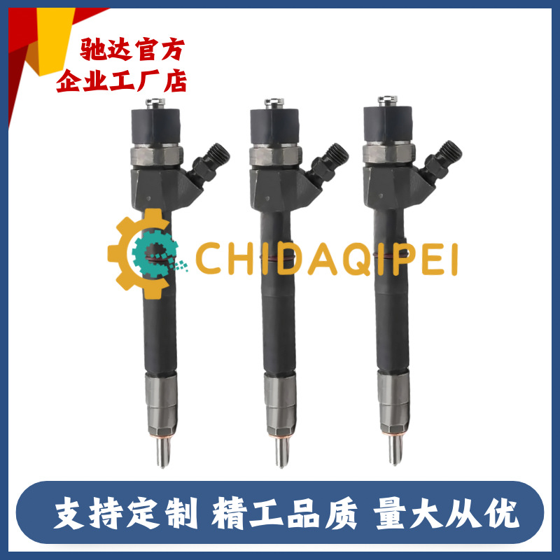 0445110295 Common Rail Injector A6460701287 0 445 110 295 Is Suitable for Mercedes