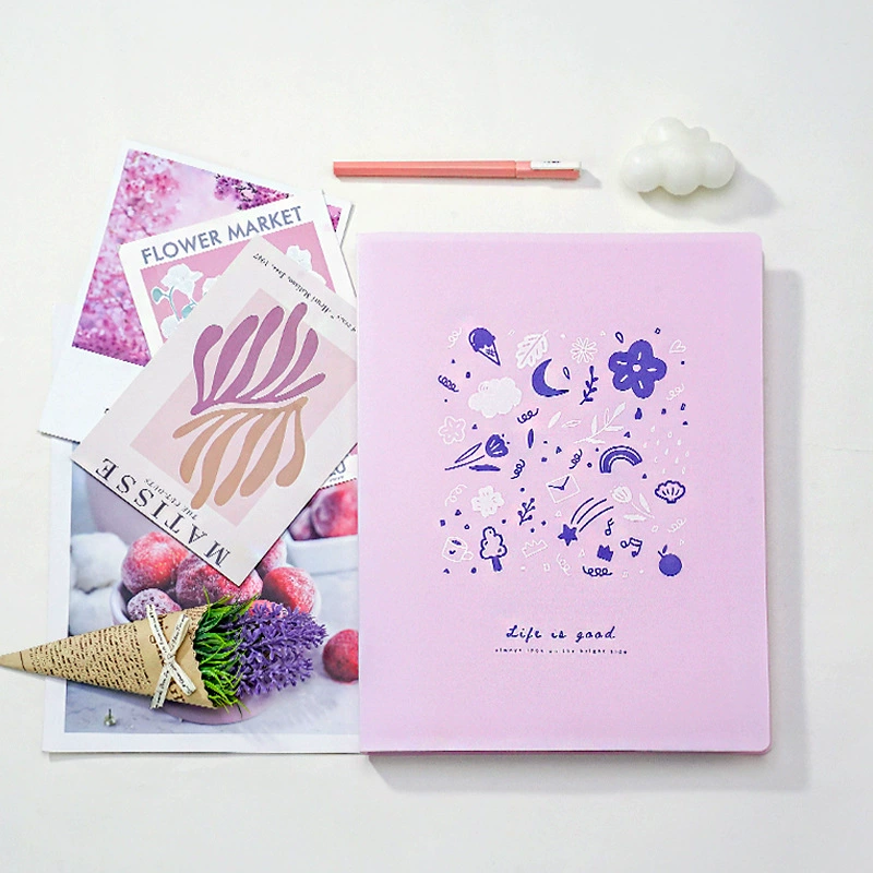 Книга информации формата А4 пластиковая многоярусная вставка пакет прозрачный папка для беременности, хранения торговля документами ученика, хранения тестовых материалов