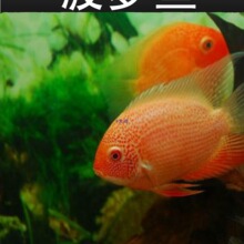 ���c���}�~���w�����~�Ꭷ�^�p�~�����~��ˮ�~���~���~