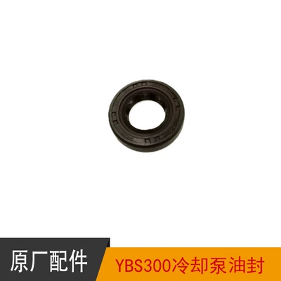 Huayang Kewei Si Zuma Off-Road: Motorcycle engine and accessories - oil-seal