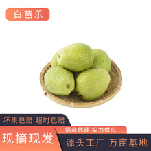 �������İŘ� �����b��ʯ��3/5/9�����r����ˬ��ˮ���a��ֱ�l���l