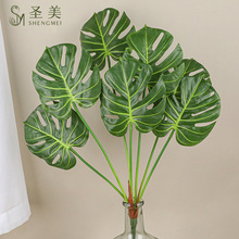 ����Gֲ7�^�����~���� ɭϵ�W�tֲ���b��~�ӻ�c�ٻ��������l