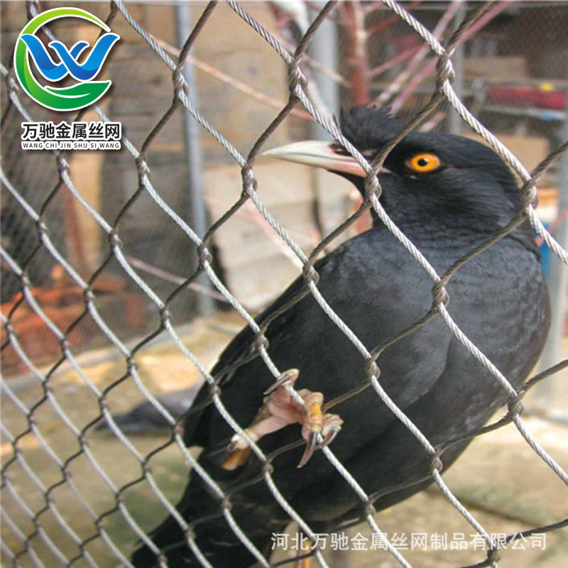 柔性不锈钢绳网 鸟笼舍围网 鸟语林网 不锈钢飞鸟顶网厂家