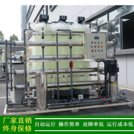 供应井水处理纯水2t/h反渗透纯水设备锅炉用反渗透脱盐水处理设备