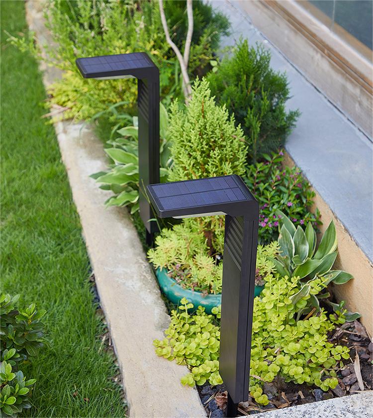Solar Lawn Light