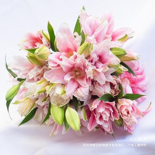 ��ˮ�ٺ�ĸ�H���r��õ�廨����������r������ֱ�l���տ�ˮ�Bֱ��