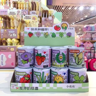 Net red blessing potted green tomato seeds canned plant desktop creative children DIY gift manufacturers wholesale