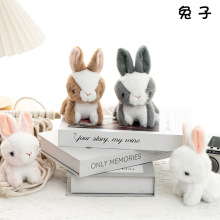 �W�t��ͨС���Ӓ������ë�q���С���ò�����С��ż�����������