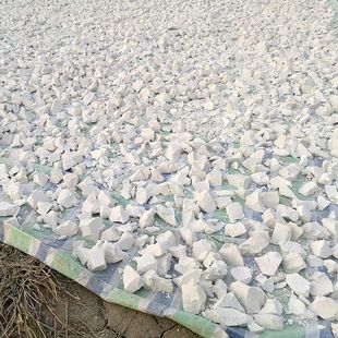 ɽ�����l������ʳ�üt���۰��ռt�������r�ҷ���ۼt�����������