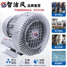 输送增压变频旋涡风泵5.5KW抽真空上料高压风机 污水曝气涡轮气泵