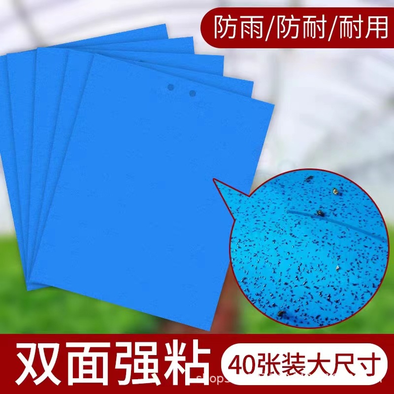 88adae678d2e3853e0e82374f5ec87